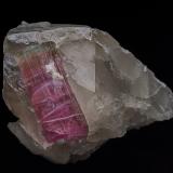 Elbaite, Quartz<br />Himalaya Mine, Gem Hill, Mesa Grande District, San Diego County, California, USA<br />8.8 x 6.9 cm<br /> (Author: am mizunaka)