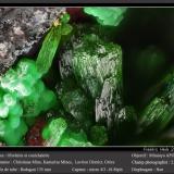 Olivenite<br />Christiana Mine, Kamariza Mines, Agios Konstantinos, Lavrion Mining District, Attikí (Attica) Prefecture, Greece<br />fov 2.6 mm<br /> (Author: ploum)