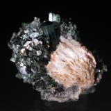 Tourmaline, Cleavelandite<br />Oceanview Mine, Elizabeth R. Mine, Chief Mountain, Pala, Pala District, San Diego County, California, USA<br />5 x 4 cm<br /> (Author: Don Lum)
