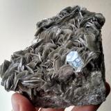 Moscovita y Berilo (variedad aguamarina)<br />Valle Shigar, Distrito Shigar, Gilgit-Baltistan (Áreas del Norte), Paquistán<br />10 x 9 x 3.7 centimetros<br /> (Autor: Ricardo Melendez)