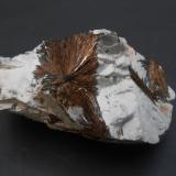 Astrofilita<br />Monte Rasvumchorr, Macizo Khibiny, Península Kola, Murmanskaja Oblast, Región del Norte, Rusia<br />8,5 x 4,5 x 4 cm<br /> (Autor: Antonio Alcaide)