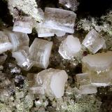 HedyphaneMina Tsumeb, Tsumeb, Región Otjikoto, Namibiafov 6 mm (Author: Rewitzer Christian)