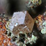 Corderoite<br />Oriental Mine, El Hembrar, Chóvar, Comarca Alto Palancia, Castellón / Castelló, Valencian Community / Comunitat Valenciana, Spain<br />fov 0,5 mm<br /> (Author: Rewitzer Christian)