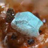 Bottinoite<br />Nueva Virginia Mine, Royo ravine, Lanzuela, Comarca Jiloca, Teruel, Aragon, Spain<br />fov 0,9 mm<br /> (Author: Rewitzer Christian)