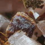 TalmessiteBou Azzer mining district, Drâa-Tafilalet Region, Moroccofov 2.1 mm (Author: Rewitzer Christian)
