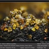 Pyrite, Siderite and Goethite<br /><br />fov 3.2 mm<br /> (Author: ploum)