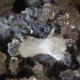 PhosphohedyphanaPreguiça Mine, Sobral da Adiça, Moura, Beja District, Baixo Alentejo, Alentejo, Portugalfov 1.8 mm (Autor: Rewitzer Christian)