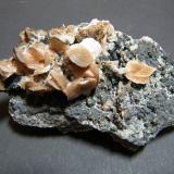 SideriteMina Tsumeb, Tsumeb, Región Otjikoto, Namibia105x60x50mm (Author: Heimo Hellwig)