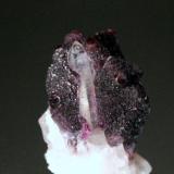 Fluorite, Quartz, Calcite<br />Orange river area, Kakamas, ZF Mgcawu District, Northern Cape Province, South Africa<br />3.7 x 2.3 x 2.1 cm<br /> (Author: Don Lum)