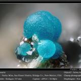Rosasite and HemimorphiteMina Vesley, Granite Gap, Distrito San Simon, Condado Hidalgo, New Mexico, USAfov 1.8 mm (Author: ploum)