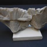 UlexitaBoron, Distrito Kramer, Condado Kern, California, USA15 x 6 x 3 cm (Autor: Antonio Alcaide)