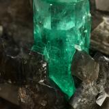 Beryl (variety emerald), Calcite, PyriteLa Pita (distrito minero), Mina Cunas, Municipio Maripí, Cinturón Esmeraldífero Occidental, Departamento Boyacá, Colombia50x50x45mm, xl=11x7mm (Author: Fiebre Verde)