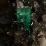 Beryl (variety emerald), Calcite, Pyrite<br />La Pita mining district, Cunas Mine, Municipio Maripí, Western Emerald Belt, Boyacá Department, Colombia<br />50x50x45mm, xl=11x7mm<br /> (Author: Fiebre Verde)