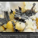 Rutile<br />Miage Glacier, Veny Valley, Monte Bianco Massif (Mont Blanc Massif), Courmayeur, Aosta Valley (Val d'Aosta), Italy<br />fov 1.8 mm<br /> (Author: ploum)