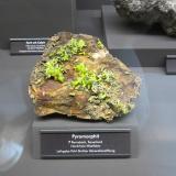 Pyromorphite<br />Ramsbeck, Bestwig, Distrito Hochsauerland, Arnsberg, North Rhine-Westphalia/Nordrhein-Westfalen, Germany<br />Specimen size ~ 12 cm<br /> (Author: Tobi)