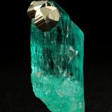 Beryl (variety emerald), Pyrite<br />Chivor mining district, Palo Arañado Mine, Municipio Chivor, Eastern Emerald Belt, Boyacá Department, Colombia<br />xl=27x20mm<br /> (Author: Fiebre Verde)