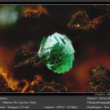 Adamite<br />Hilarion Mine, Hilarion area, Kamariza Mines, Agios Konstantinos, Lavrion Mining District, Attikí (Attica) Prefecture, Greece<br />fov 1.8 mm<br /> (Author: ploum)