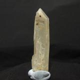 Anatasa en CuarzoPeña Trevinca, Encinedo, Comarca La Cabrera, León, Castilla y León, España65x18mm (Anatasas: 2mm) (Autor: joaquin gar)