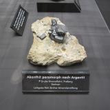 Acanthite paramorph after argentiteHimmelfahrt Mine, Freiberg, Freiberg District, Erzgebirgskreis, Saxony/Sachsen, GermanySpecimen size ~ 9 cm (Author: Tobi)
