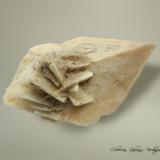 Calcita pseudomorfica de Glauberita<br />Mina Camp Verde Salt, Camp Verde, Distrito Camp Verde, Condado Yavapai, Arizona, USA<br />85 x 51 x 60 mm.<br /> (Autor: Rafael Galiana)