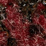 Cuprita (variedad calcotriquita)<br />Minas Ray, Zona Scott Mountain, Distrito Mineral Creek, Montes Dripping Spring, Condado Pinal, Arizona, USA<br />Encuadre de la fotografía 10 mm.<br /> (Autor: Rafael Galiana)