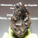 Axinita<br />Llallagua, Provincia Rafael Bustillo, Departamento Potosí, Bolivia<br />40x65 mm<br /> (Autor: Ignacio)