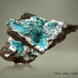 RosasitaMina Silver Bill, Grupo Costello Mine, Gleeson, Distrito Turquoise, Montes Dragoon, Condado Cochise, Arizona, USA68 x 58 x 40  mm. (Autor: Rafael Galiana)