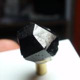 Casiterita<br />Minas da Panasqueira, Aldeia de São Francisco de Assis, Covilhã, Castelo Branco, Cova da Beira, Centro, Portugal<br />15x20 mm<br /> (Autor: Ignacio)