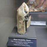 Elbaite on QuartzLimbach-Oberfrohna, Zwickau, Sajonia/Sachsen, AlemaniaSpecimen size ~ 12 cm (Author: Tobi)