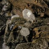 Calcite and Quartz<br />Herja Mine, Chiuzbaia, Baia Sprie, Maramures, Romania<br />FOV 22 mm<br /> (Author: Adrian Pripoae)