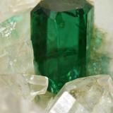 Beryl (variety emerald), Quartz<br />Peñas Blancas Mine, Municipio San Pablo de Borbur, Western Emerald Belt, Boyacá Department, Colombia<br />40mm across, xl=7mm<br /> (Author: Fiebre Verde)