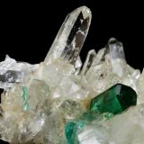 Beryl (variety emerald), Quartz<br />Peñas Blancas Mine, Municipio San Pablo de Borbur, Western Emerald Belt, Boyacá Department, Colombia<br />40mm across, xl=7mm<br /> (Author: Fiebre Verde)