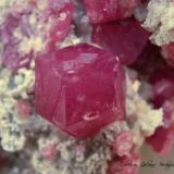 Grossularia<br />Sierra de las Cruces, Distrito Minero Sierra Mojada, Municipio Sierra Mojada, Coahuila (Coahuila de Zaragoza), México<br />Encuadre de la fotografía 20 mm.<br /> (Autor: Rafael Galiana)