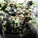 Chenevixite, Ferrilotharmeyerite and Olivenite<br />Tsumeb Mine, Tsumeb, Otjikoto Region, Namibia<br />40x35x30mm<br /> (Author: Heimo Hellwig)