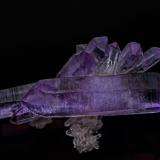 Quartz (variety amethyst)<br />Piedra Parada (Las Vigas), Municipio Tatatila, Veracruz (Veracruz de Ignacio de la Llave), Mexico<br />6.4 x 3.2 cm<br /> (Author: am mizunaka)