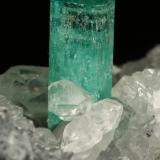 Beryl (variety emerald), Calcite<br />La Pita mining district, Polveros Mine, Municipio Maripí, Western Emerald Belt, Boyacá Department, Colombia<br />45x32x28mm, xl=18x7mm<br /> (Author: Fiebre Verde)