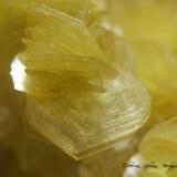Lepidolita<br />Itinga, Vale do Jequitinhonha, Minas Gerais, Brasil<br />Encuadre de la fotografía 11 mm.<br /> (Autor: Rafael Galiana)
