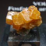 WulfenitaMina Ojuela, Mapimí, Municipio Mapimí, Durango, México20x15 mm (Autor: Ignacio)