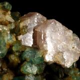 Beryl (variety emerald), Albite (variety cleavelandite), Calcite, Apatite<br />Colombia<br />37x18x33mm<br /> (Author: Fiebre Verde)