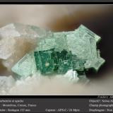 Torbernite and Apatite (Group)<br />Montebras Mines, Montebras, Soumans, Boussac, Guéret, Creuse, Nouvelle-Aquitaine, France<br />1.8 mm<br /> (Author: ploum)