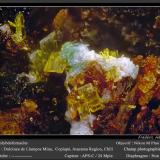 Molybdofornacite<br />Dulcinea de Llampos Mine, Cachiyuyo de Llampos, Copiapó Province, Atacama Region, Chile<br />0.55 mm<br /> (Author: ploum)