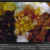 Molybdofornacite<br />Dulcinea de Llampos Mine, Cachiyuyo de Llampos, Copiapó Province, Atacama Region, Chile<br />0.3 mm<br /> (Author: ploum)