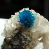 Cavansita<br />Canteras Wagholi, Wagholi, Distrito Pune (Distrito Poonah), Maharashtra, India<br />25x25 mm<br /> (Autor: Ignacio)