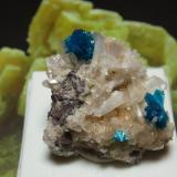 Cavansita<br />Canteras Wagholi, Wagholi, Distrito Pune (Distrito Poonah), Maharashtra, India<br />25x25 mm<br /> (Autor: Ignacio)