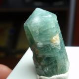 Apatito (Grupo)<br />Slyudyanka (Sludyanka), Zona Lago Baikal, Irkutsk Oblast, Zabaykalsky Krai, Rusia<br />15x30 mm<br /> (Autor: Ignacio)