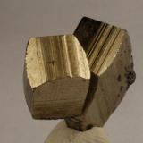 Pyrite<br />Municipio Tatatila, Veracruz (Veracruz de Ignacio de la Llave), Mexico<br />1.6 x 1.5 x 1 centimeters<br /> (Author: Ricardo Melendez)