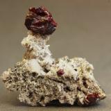 Cinabrio<br />Mina Escarlati, nivel 3, Puerto de las Señales, Maraña, Comarca Montaña Oriental, León, Castilla y León, España<br />20x24x08 mm<br /> (Autor: Juan Espino)