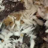 BultfonteinitaMina N'Chwaning III, Zona minera N'Chwaning, Kuruman, Kalahari manganese field (KMF), Provincia Septentrional del Cabo, Sudáfrica77x55x40 mm (Autor: Juan Espino)