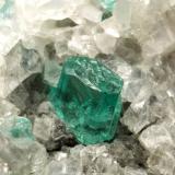 Beryl (variety emerald), Calcite, Dolomite, Pyrite<br />Chivor mining district, Municipio Chivor, Eastern Emerald Belt, Boyacá Department, Colombia<br />69x57x38mm, xls up to 10mm<br /> (Author: Fiebre Verde)