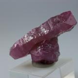 Corundum (variety ruby)<br />Nagar, Hunza Valley, Nagar District, Gilgit-Baltistan (Northern Areas), Pakistan<br />2.8 x 1.5 x 1 centimeters<br /> (Author: Ricardo Melendez)